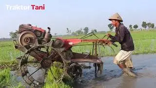 TRAKTOR SAWAH ROTARY TURUN SENDIRI MEMBAJAK LAHAN