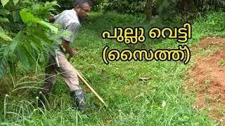 വികാല്പ് പുല്ല് വെട്ടി (സൈത്ത്) / Vikalp pullu vetti (scythe)