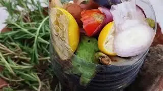 Easy Kitchen Composting for Beginners! Reduce Waste, Save Money 🤑