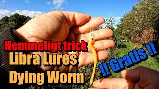 Dying Worm A-B-C til hvordan det sættes op og fiskes med....