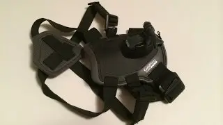 GoPro Fetch mount Review