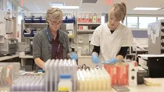 Island Health Pharmacy Recruitment