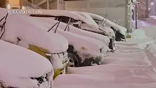 Hokkaido Snowfall | Night Walk