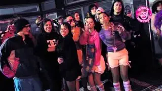 Carnaval de Torres Vedras 2013 - O vídeo final