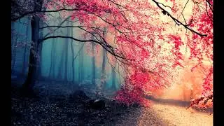 September - Cry For You Marc (Zmile Remix)