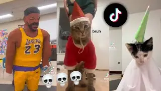 TikToks That Make Me Question Things