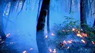 Prescribed Burn (time lapse)