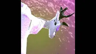 𝖝𝖕𝖊𝖗𝖎𝖊𝖓𝖈𝖊 𝖓𝖊𝖆𝖗 𝖉𝖊𝖆𝖙𝖍 𝖊𝖝𝖕𝖊𝖗𝖎𝖊𝖓𝖈𝖊 𝔰𝔱𝔞𝔠𝔨 𝔬𝔳𝔢𝔯𝔣𝔩𝔬𝔴 by @r00m69