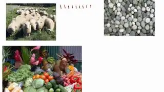 02 Primitive natural numbers