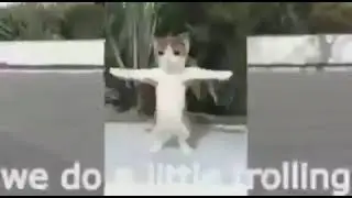 AAAAUUUUGH