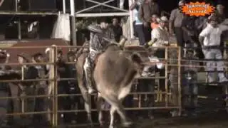 JARIPEO EL CATRIN SE SALE DEL CAJON 3 VECES EN CD. GUZMAN