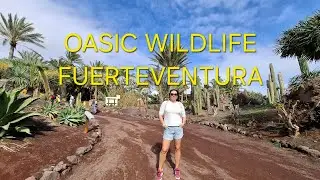 Fuerteventura leden 2026 @FanoliSchelly 