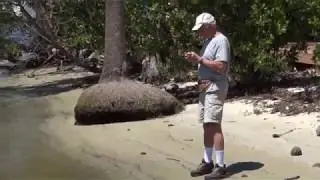 Bill Keith Preserve and Secret Woods Fort Lauderdale FL