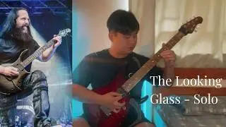 Dream Theater - The Looking Glass (Guitar Solo cover by Michle)