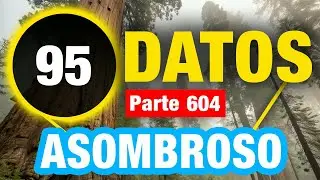 95 Datos Grandiosos Que No Sabías