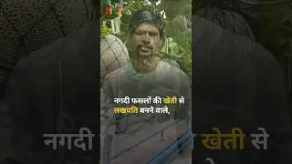Profit in cash crops || Cash Crops Business Idea || Meeting Sitting #shorts #farming