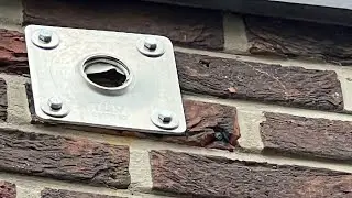 Montage der Sat-Sch&uuml;ssel an der Wand.