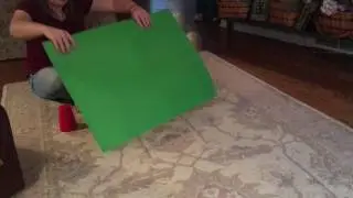 animal cognition test - bogey
