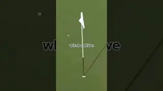 Rory Mcllroy goes crazy after hole 15 🤯
