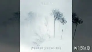 Neraines - White Shadows