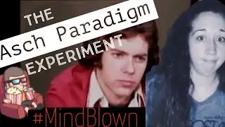 The Asch Paradigm Experiment | You Want To See This!!