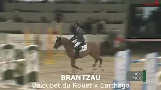 Brantzau VDL - Baloubet du Rouet/Carthago/Coriander