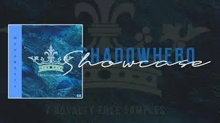 [SHOWCASE] - [Sample Pack Cover] - [Dave Beats][Diversity] - [#3]