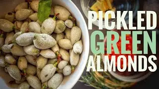 Pickled Green Almonds