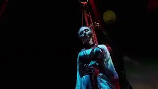 Shibari