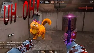 UH OH! |STANDKNIFE HIGHLIGHTS ❤️