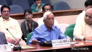 Senate Committee Hearing on Constitutional Amendments