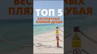 Лучшие бесплатные пляжи в Дубае - Ля Мер, Кайт бич, JBR, Джумейра, Dubai Islands beach #дубай #пляж