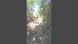 Volc&aacute;n Chichontepec, San Vicente.