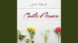 Irie Nation