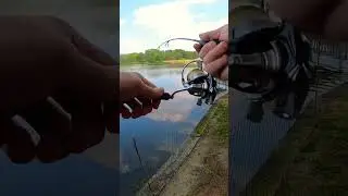 Daiwa Presso Luvias #ultralightfishing #bluegillfishing #panfish #crappiefishing #fishingvideo