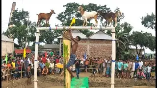 Who can climb the oiled banana tree If you can, there is a special prize #mrbeast #alamin9930