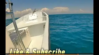 22 Panga/115 Yamaha | Расход топлива в цифрах #pangaboat #boating #fishing #boatlife