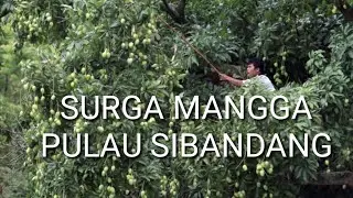 MUARA-PULAU SIBANDANG  - The paradise of the island of Sibandang