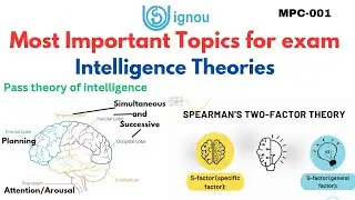 Spearman's two-factor theory and Pass theory of intelligence #intelligencethories