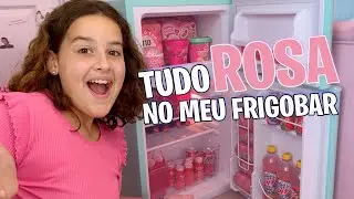 organizando meu FRIGOBAR  NOVO da COR ROSA!!!