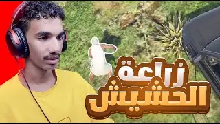 سكلولو النايم👨🏾‍🦱| بداية زراعة الحشيش🔥❗| قراند الحياه الواقعيه مستري تاون