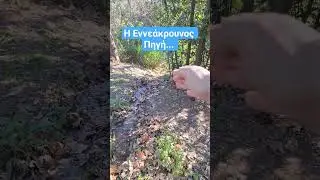 &Kappa;&alpha;&lambda;&lambda;&iota;&rho;&rho;ό&eta;, &eta; &Epsilon;&nu;&nu;&epsilon;ά&kappa;&rho;&omicron;&upsilon;&nu;&omicron;&sigmaf; &Pi;&eta;&gamma;ή &tau;&omicron;&upsilon; &Iota;&lambda;&iota;&sigma;&sigma;&omicron;ύ. #&alpha;&theta;ή&nu;&alpha; #&alpha;&rho;&chi;&alpha;ί&alpha;&epsilon;&lambda;&lambda;ά&delta;&alpha; #&omicron;&rho;&phi;&iota;&kappa;ό&sigma;