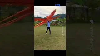 Phoenix Firebird lights up the sky with its amazing wings #drone  #fire  #birds #flying