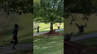 Chasing Geese #2023 #kids #chasing #childhoodfun