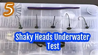 Which Shaky Head Rig Looks Works Best Underwater