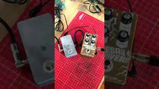 Mesa Drive + Green Ringer Emma Dangers