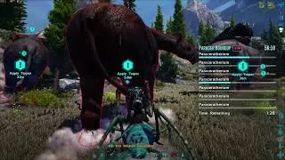Ark Official Legacy PVE:Paracer Roundup Alpha Solo Uncut