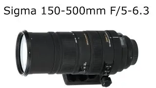 Sigma 150-500mm F/5-6.3 lens Review (With Sample Images)