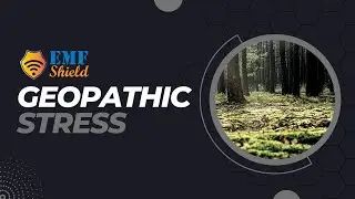 Geopathic Stress - EMF Shield