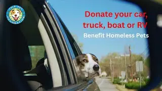 Donate Your Vehicle to Help Homeless Pets